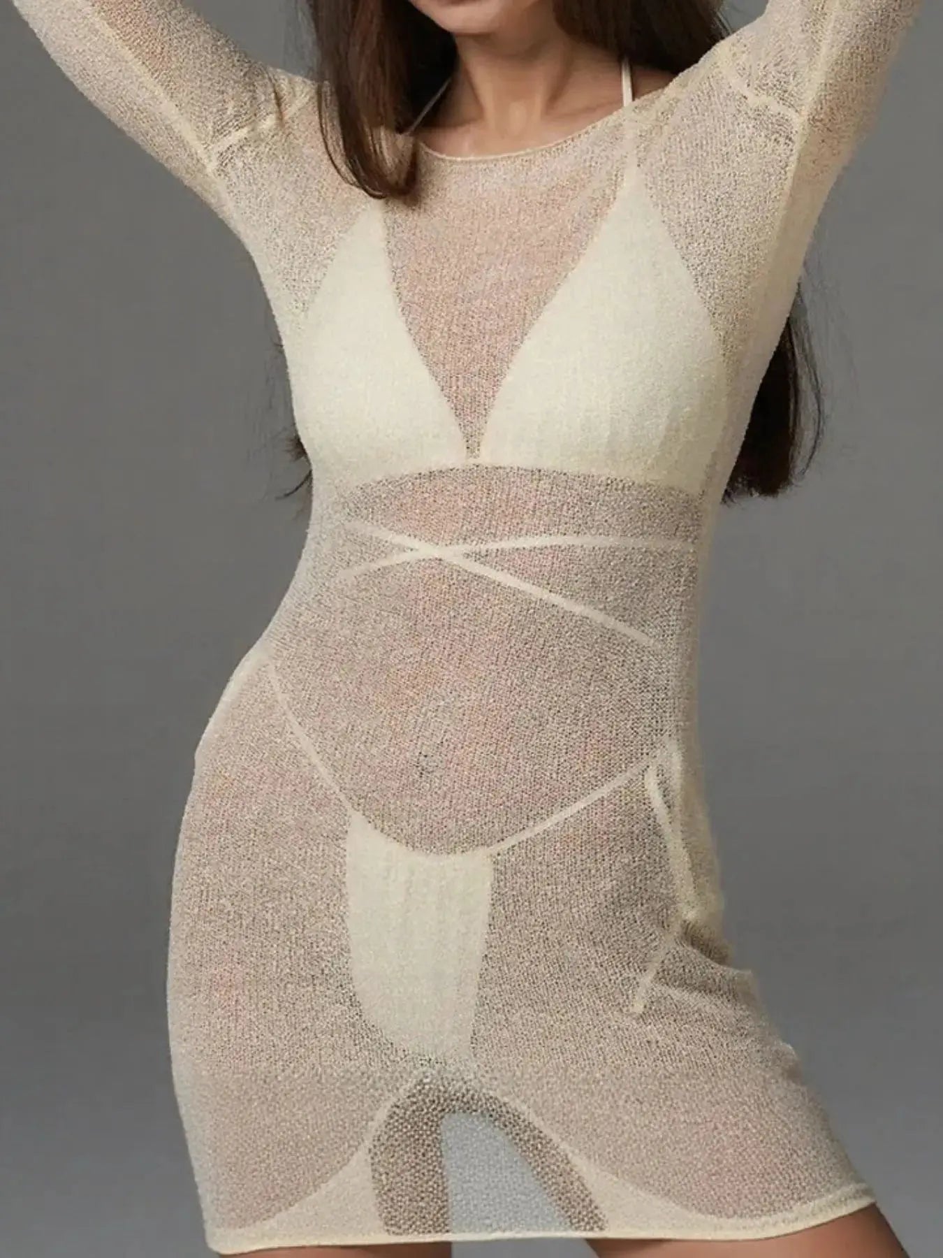Sheer Backless Long Sleeve Mini Cover-Up Dress-Bikinicaye